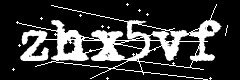 图形验证码